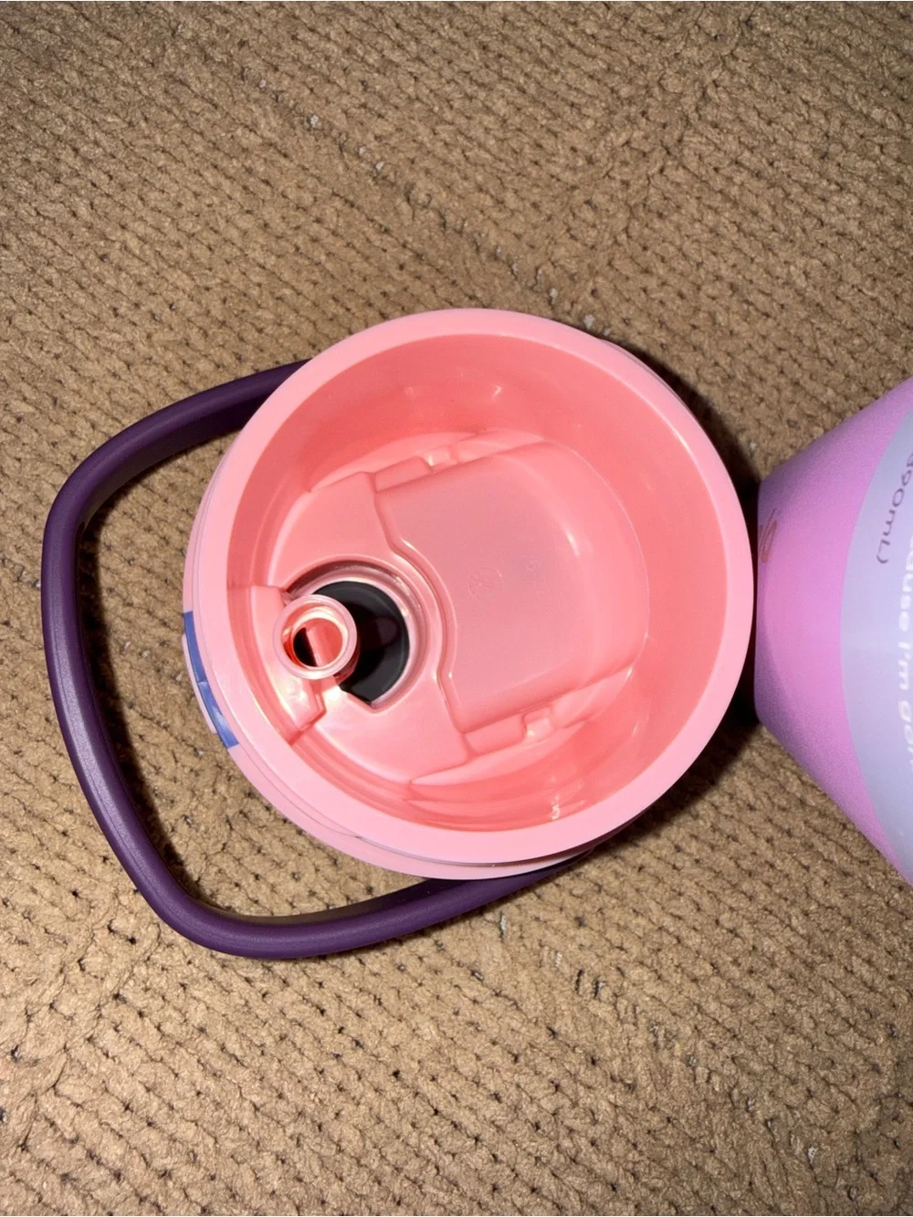 Owala Stainless Steel FreeSip Sway